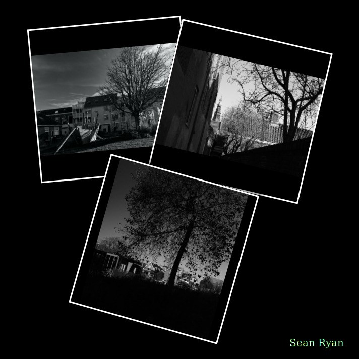 Trees