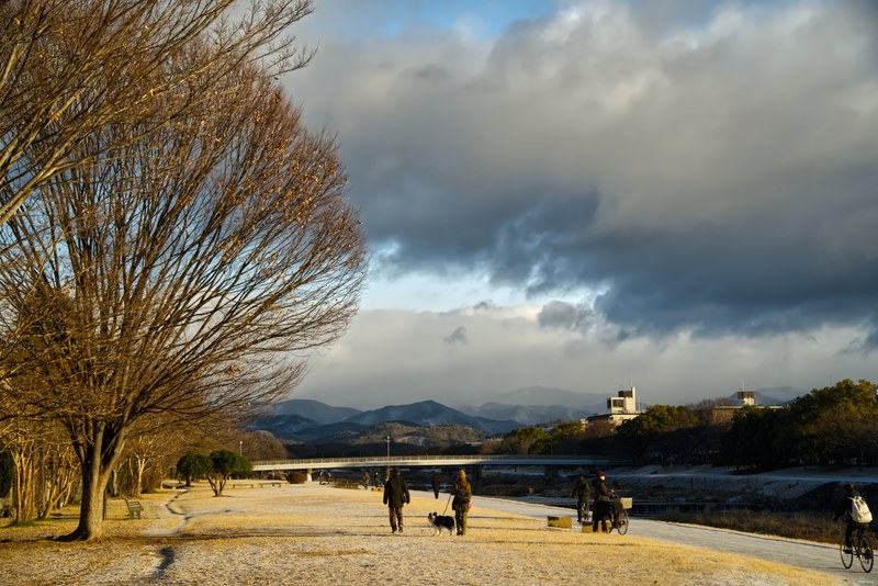 Kyoto - Kamo River By Morning Golden Hour - cover.SA701730.editted