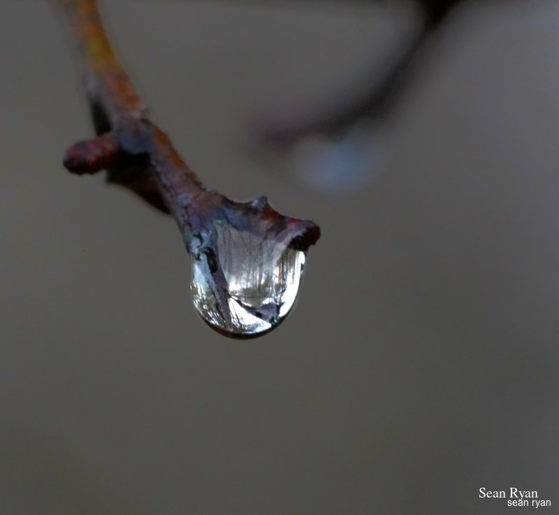 Macro Water (close-ups Of Water Drops)